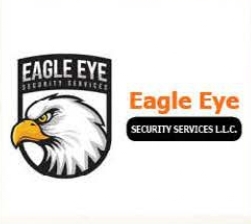 eagle-eye-security